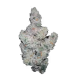 Super Boof