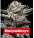 Black Cherry Gushers by Backpack Boyz