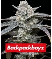 Lemon Cherry Gelato by Backpack Boyz