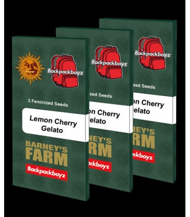 Lemon Cherry Gelato by Backpack Boyz