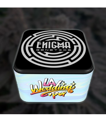 LA Wedding Pop