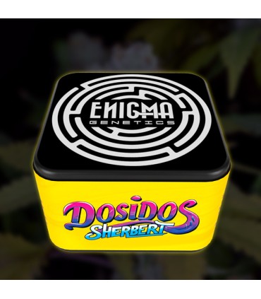 DoSiDos Sherbet