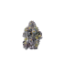 Triploid F1 Sticky Wasabi