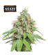 AK420 (AK47 BCN selection)