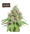 AK420 (AK47 BCN selection)