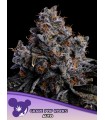 Auto Grape Pop Rocks