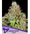Auto Sticky Boof