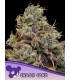 Chaos Cake (Wedding Cake x Apple Cake)