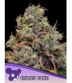 Chaos Cake (Wedding Cake x Apple Cake)