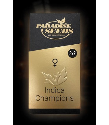 Indica Champions 6FEM (3 x 2FEM)