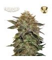 FRUIT CAKE (Animal Cookies x Fruity Pebbles OG)