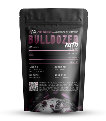 Auto Bulldozer (Sherbet-Z x White Dwarf)