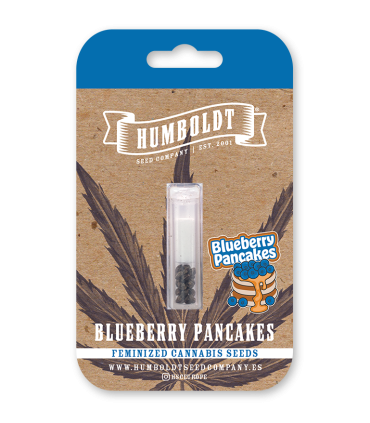 BLUEBERRY PANCAKES (Blueberry Pancakes x Slurricane x PPD)