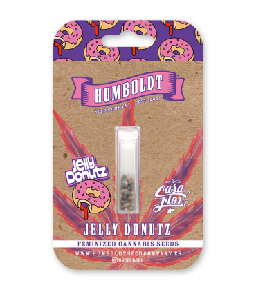 JELLY DONUTZ 3FEM (Hella Jelly x White Runtz)