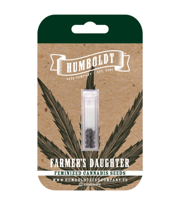 FARMERS DAUGHTER 3FEM (Vanilla Créme Pie x Humboldt Pound Cake Bx3)