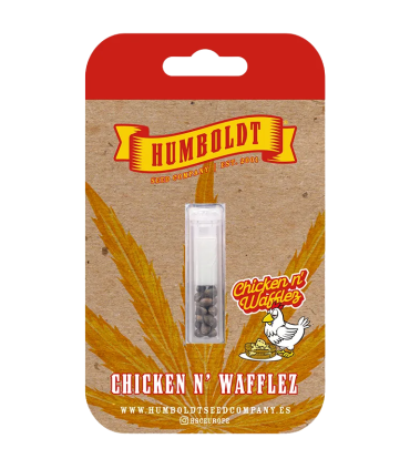 CHICKEN N WAFFLEZ 3FEM (Jelly Donutz 117 x Purple Cartel By Xotic Flavors)