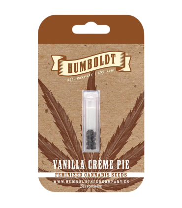 VANILLA CREME PIE 3FEM (Emerald Fire OG x Ghost Of Von Humboldt OG)