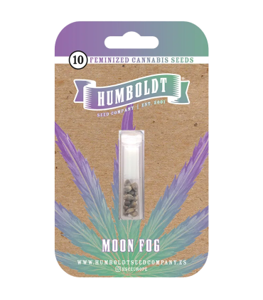 MOONFOG 3FEM (Moonfog x P. Face OG x High Octane)