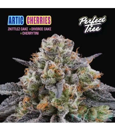 ARTIC CHERRIES (Zkittlez Cake x Divorce Cake x Cherrytini)