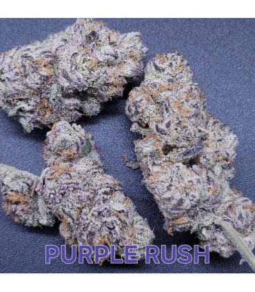 PURPLE RUSH 3FEM (Afghani Urkle x Bananacane)