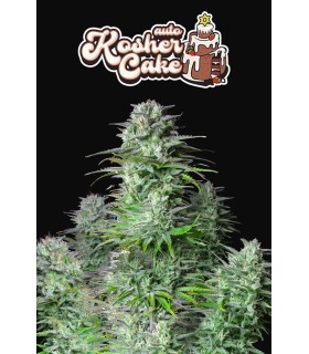 Kosher Cake Auto