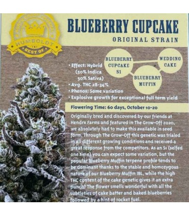 Blueberry Cupcake (Blueberry Muffin x Wedding Cake)