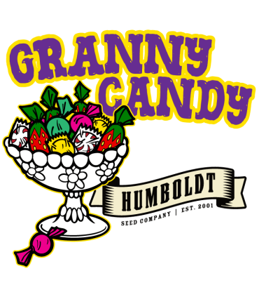Granny Candy (Mountaintop Mint x W. Runtz Muffin)