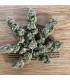 Notorious THC (Ghost Of Von Humboldt x Caramel Cream x Humboldt Frost)