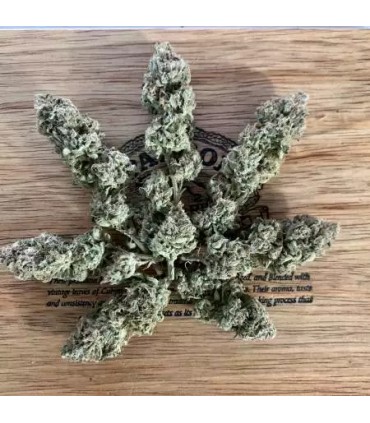 Notorious THC (Ghost Of Von Humboldt x Caramel Cream x Humboldt Frost)