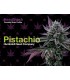 Pistachio (P-61 X Fortune Cookies)