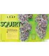 Squirt (Blueberry Muffin x Tangie)