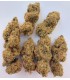 MAGIC CARROT 3FEM (Zamaldelica x A5 Neville Haze)