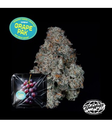 Grape Pak (Permanent Marker x Grape Gas)