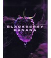 Blackberry Banana 7FEM (Don Mega x Blackberry Octane)