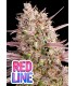 Red Line 3FEM (Lemon Cherry Gelato x Frozen Black Cherry x Strawbeyy Pop Rocks)
