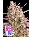 Red Line 3FEM (Lemon Cherry Gelato x Frozen Black Cherry x Strawbeyy Pop Rocks)