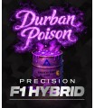 Durban Poison 3FEM(South African Landrace)