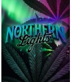 Northern Lights 3FEM(Thai Landrace x Afghani)