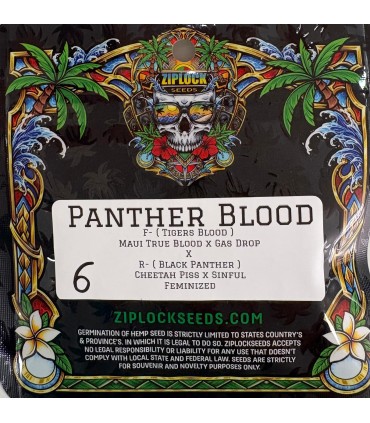Panther Blood 6FEM (Tigers Blood (Maui True Blood x Gas Drop) x Black Panther (Cheetah Piss x Sinful)