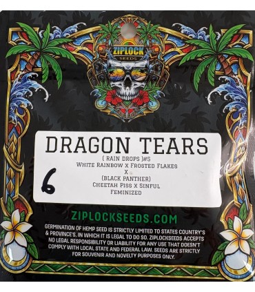 Dragon Tears 6FEM (Rain Drops  x Black Panther (Cheetah Piss x Sinful))