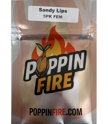 Sandy Lips 5FEM (Ridgelion x BOP 10)