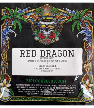 Red Dragon 6FEM (Death Kiss (Dante´s Infierno x Frosted Flakes) x Black Panther (Cheetah Piss x Sinful)