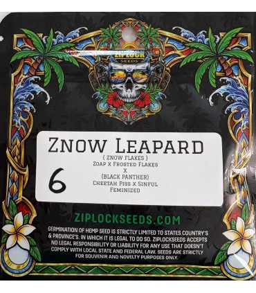 Znow  Leapard 6FEM (Znow Flakes (Soap x Frosted Flakes) x Black Panther (Cheetah Piss x Sinful)