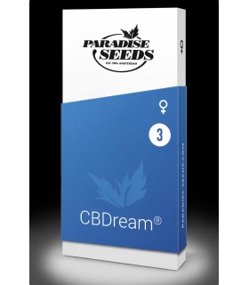 CBDream 3FEM