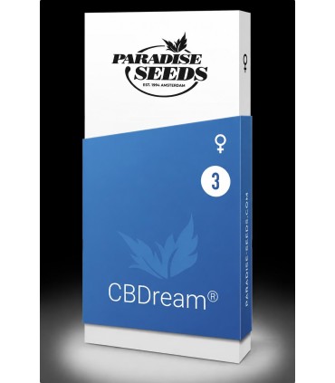 CBDream 3FEM