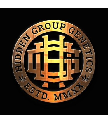 HIDDEN GROUP GENETICS SILVER PROJET 12FEM (Gushers x Grapes N Cream)