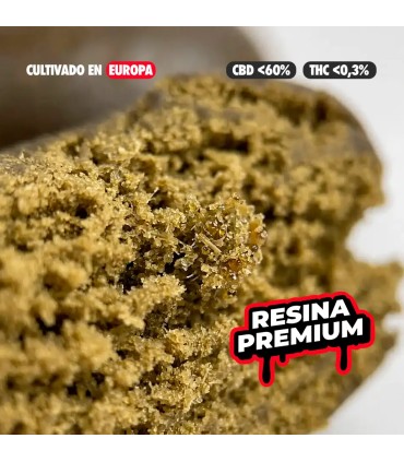 HASH Jelly Static CBD