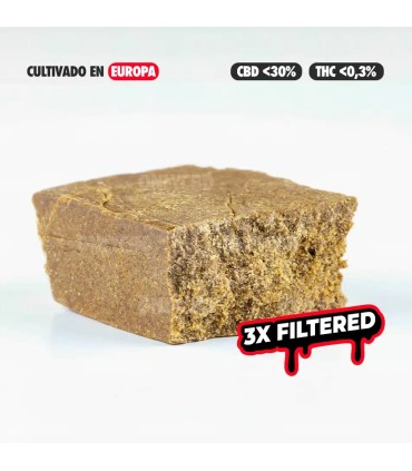 HASH Blondy 77 CBD
