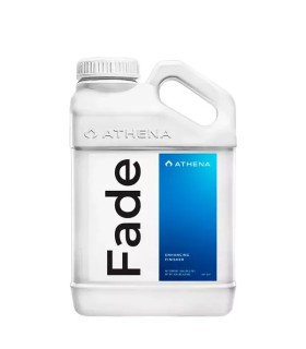 Athena Fade