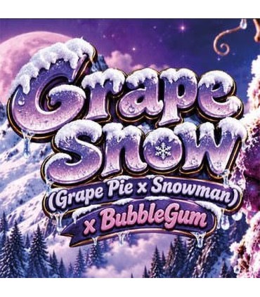 Grape Snow (Grape Pie x Snowman) 6FEM